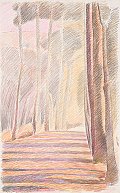 Yazd, Gheytariyeh garden (1989), colour pencil on paper, 72x45cm
